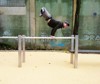Bild von JK Calisthenics Outdoor-Parks - Triple PullUps Bars Klimmzugstangen - Edelstahl