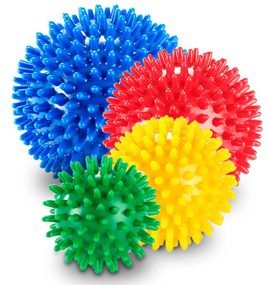 Bild von Spiky Ball - Igelball