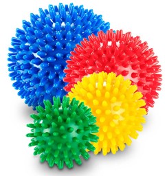 Bild von Spiky Ball - Igelball