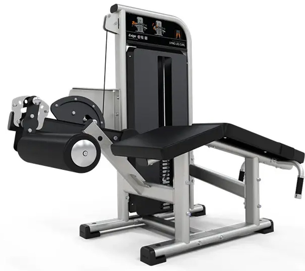 Bild von Exigo Lying Leg Curl