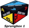 Bild von POWER-EXTREME 3-in-1 Soft Sprungbox