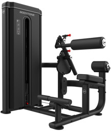 Zeige Details für BODYTONE Forza Dual Bauchbeuger / Rückenstrecker Bild von BODYTONE Forza Dual Bauchbeuger / Rückenstrecker