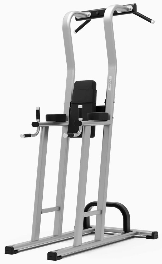 Picture of Exigo Rear Chin / Dip / Leg Raise Station