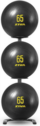Zeige Details für ZIVA CORE-FIT BALL STORAGE RACK - 2025 Bild von ZIVA CORE-FIT BALL STORAGE RACK - 2025